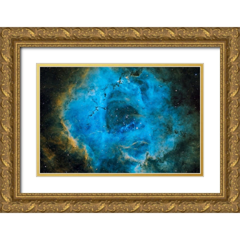 Rosette Gold Ornate Wood Framed Art Print with Double Matting by Chander, Vikas