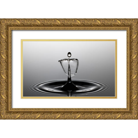 Waterdancer Gold Ornate Wood Framed Art Print with Double Matting by Schade, Peter
