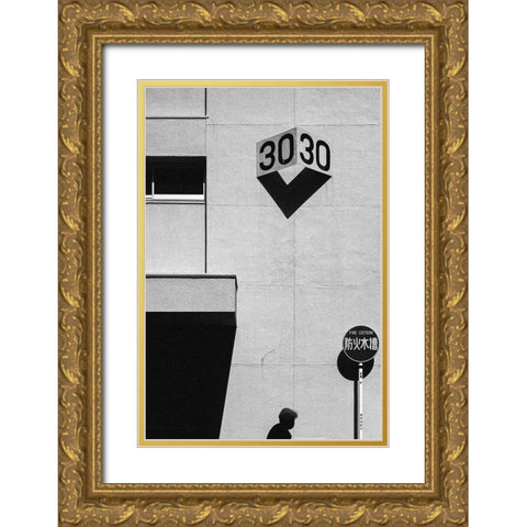 30 Gold Ornate Wood Framed Art Print with Double Matting by Watanabe, Kentaro