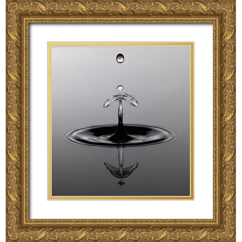 Water Art II Gold Ornate Wood Framed Art Print with Double Matting by Schade, Peter