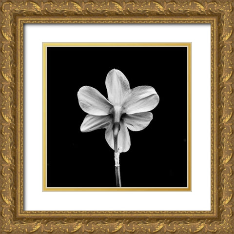 One Gold Ornate Wood Framed Art Print with Double Matting by Bland, Richard