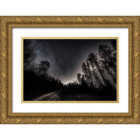 Lights of th Night Gold Ornate Wood Framed Art Print with Double Matting by Winiarski, Lukasz