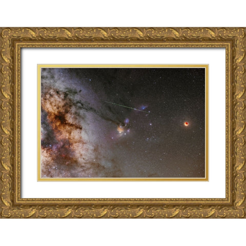 A Little Surprise Gold Ornate Wood Framed Art Print with Double Matting by Ionut Dascalu, Andrei