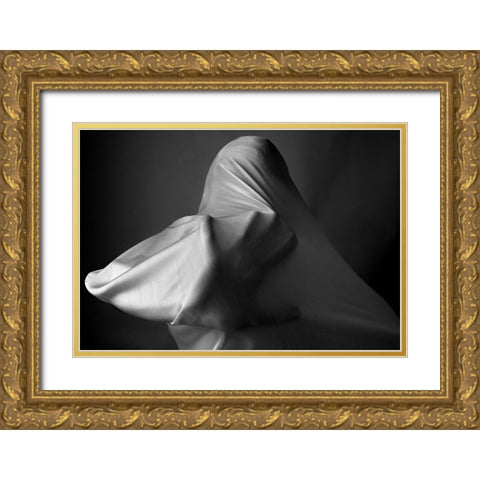 Fanatic Gold Ornate Wood Framed Art Print with Double Matting by Arabzadeh, Abbas