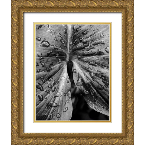 Leafy Looks Gold Ornate Wood Framed Art Print with Double Matting by Allen, Elizabeth
