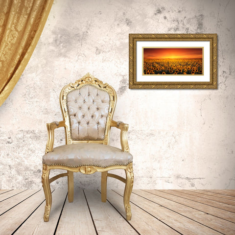 Sunset On Sunflower Field Gold Ornate Wood Framed Art Print with Double Matting by Seo, Tiger