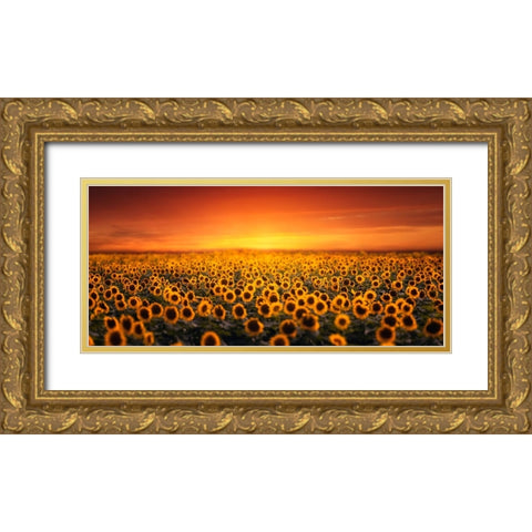 Sunset On Sunflower Field Gold Ornate Wood Framed Art Print with Double Matting by Seo, Tiger