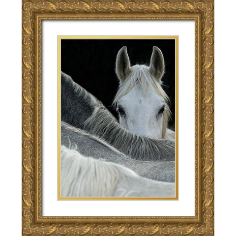 Look Gold Ornate Wood Framed Art Print with Double Matting by Malovrh, Milan