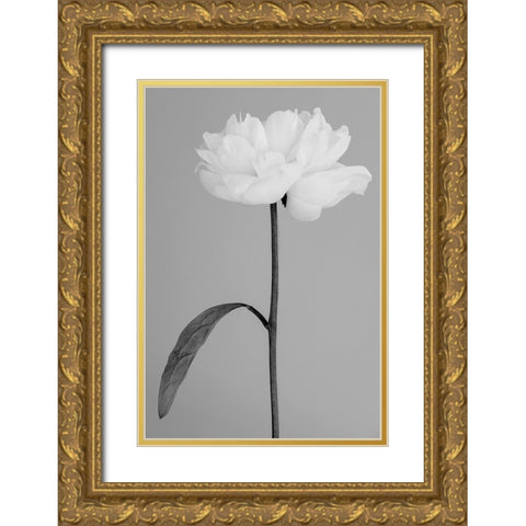 Peony 14 Gold Ornate Wood Framed Art Print with Double Matting by 1x Studio III
