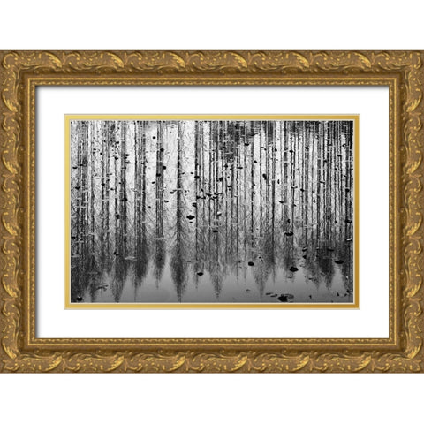 tall reflection Gold Ornate Wood Framed Art Print with Double Matting by Kim, Youngil