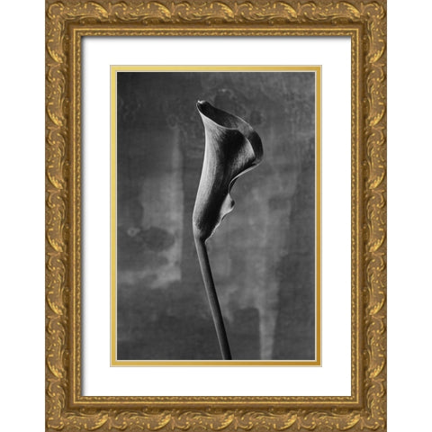 Flower_3 Gold Ornate Wood Framed Art Print with Double Matting by Mori, Kenji