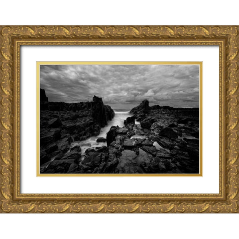 Dragons Maw Gold Ornate Wood Framed Art Print with Double Matting by Sowter, Ashley