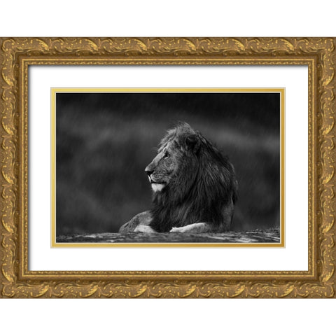 Rainy King Gold Ornate Wood Framed Art Print with Double Matting by Sobhi, Ahmed