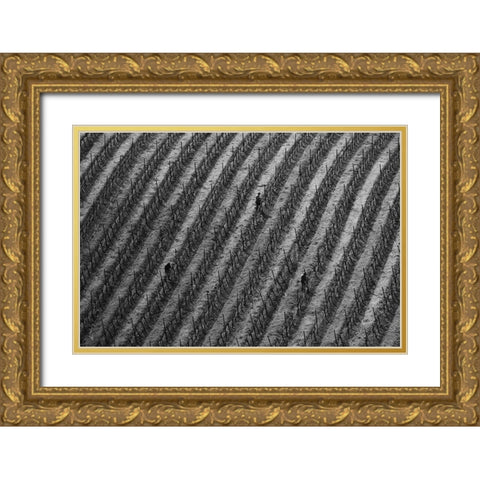 Vineyard Gold Ornate Wood Framed Art Print with Double Matting by Mao, Yun