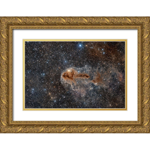 Rotten Fish Nebula Gold Ornate Wood Framed Art Print with Double Matting by Chander, Vikas