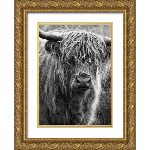 Highland cattle Gold Ornate Wood Framed Art Print with Double Matting by Gronkjar, Lotte