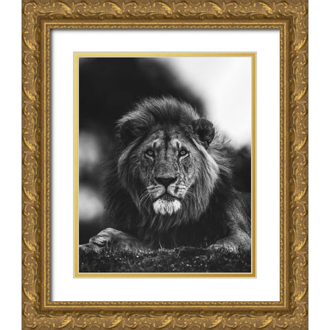 Ready Gold Ornate Wood Framed Art Print with Double Matting by Sobhi, Ahmed