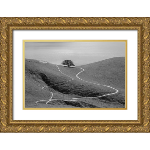 Lonely Tree Gold Ornate Wood Framed Art Print with Double Matting by Mao, Yun