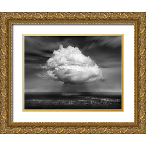 Landscape With Cloud Gold Ornate Wood Framed Art Print with Double Matting by Winkler, Jens