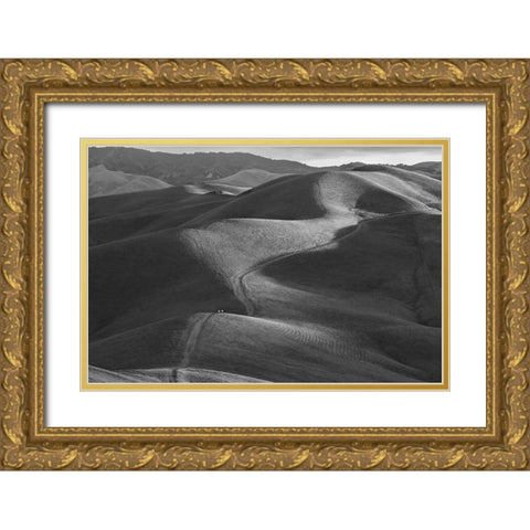 Rolling Hills Gold Ornate Wood Framed Art Print with Double Matting by Mao, Yun