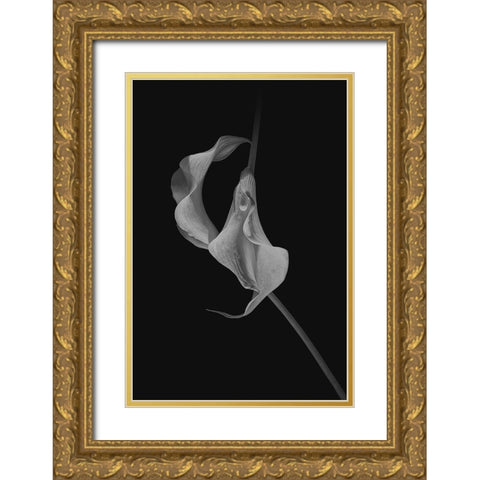 Close Talk Gold Ornate Wood Framed Art Print with Double Matting by Jacobs, Lydia