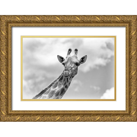The giraffe - Wildlife V Gold Ornate Wood Framed Art Print with Double Matting by Richter, Regine