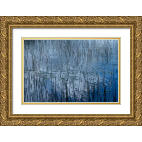 Abstract Riet Gold Ornate Wood Framed Art Print with Double Matting by Bouhuijzen, Ina