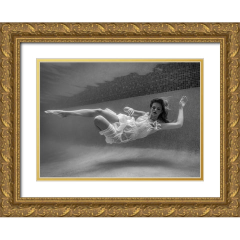 Suspended Gold Ornate Wood Framed Art Print with Double Matting by Stampfli, Craig
