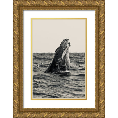 Secret Of Whale Gold Ornate Wood Framed Art Print with Double Matting by Melesan, Serge