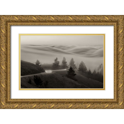 DrIVing With Fog Gold Ornate Wood Framed Art Print with Double Matting by An, Anna