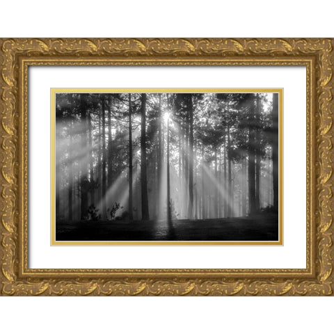 Light In The Snow Gold Ornate Wood Framed Art Print with Double Matting by Alviani, Montserrat