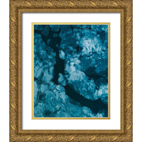 Ice Gold Ornate Wood Framed Art Print with Double Matting by Ziomek, Witold