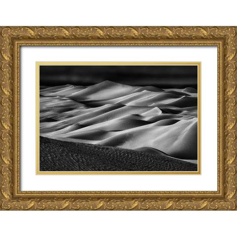 The Art Of Sand And Wind (2) Gold Ornate Wood Framed Art Print with Double Matting by Qiu, Jenny