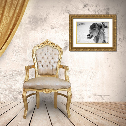 dromedary Gold Ornate Wood Framed Art Print with Double Matting by Borges Alves, Luis
