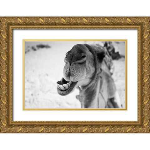 dromedary Gold Ornate Wood Framed Art Print with Double Matting by Borges Alves, Luis