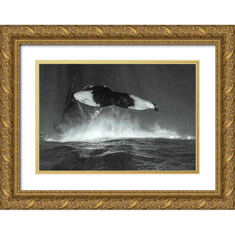 Tale Of Whales Gold Ornate Wood Framed Art Print with Double Matting by Melesan, Serge