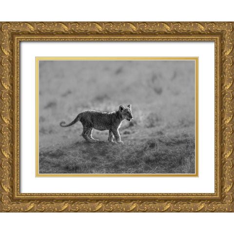 MORNING CAT Gold Ornate Wood Framed Art Print with Double Matting by Marx, Jaco
