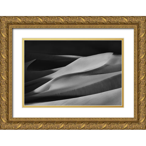 The Art Of Sand And Wind (4) Gold Ornate Wood Framed Art Print with Double Matting by Qiu, Jenny