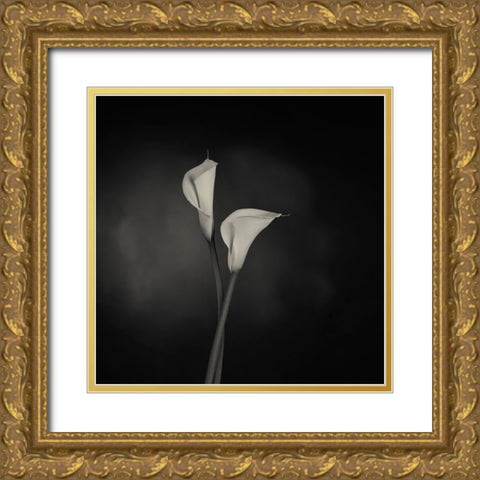 Simplicity Gold Ornate Wood Framed Art Print with Double Matting by Engelbos, Mieke