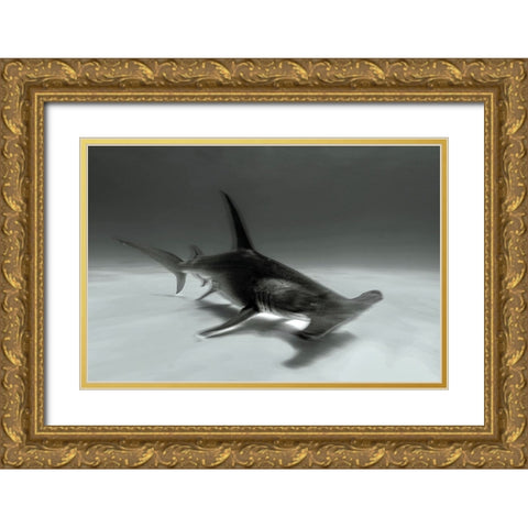 Great Hammerhead Gold Ornate Wood Framed Art Print with Double Matting by Melesan, Serge