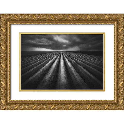 In Flanders Fields Gold Ornate Wood Framed Art Print with Double Matting by Stas, Marie-Anne