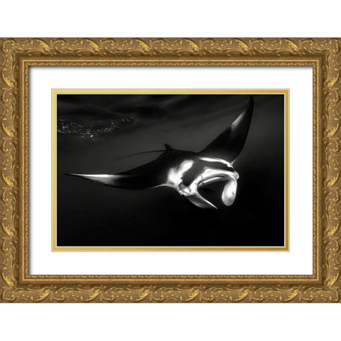 The Manta Gold Ornate Wood Framed Art Print with Double Matting by Melesan, Serge
