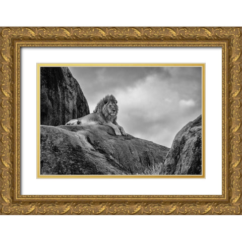 The King! Gold Ornate Wood Framed Art Print with Double Matting by Khataw, Ali