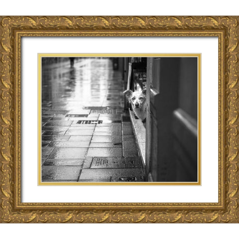 Rain Gold Ornate Wood Framed Art Print with Double Matting by Alviani, Montserrat