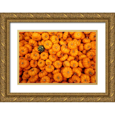 Dare to be Different Gold Ornate Wood Framed Art Print with Double Matting by Ungvari, Rose