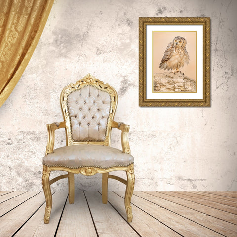 New Hair Cut.! Gold Ornate Wood Framed Art Print with Double Matting by Elkahlawi, Ahmed