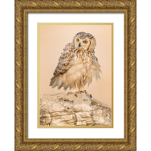 New Hair Cut.! Gold Ornate Wood Framed Art Print with Double Matting by Elkahlawi, Ahmed