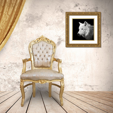 White Wolf #2 Gold Ornate Wood Framed Art Print with Double Matting by Meermann, Christian