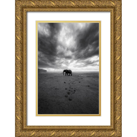 Amboseli Gold Ornate Wood Framed Art Print with Double Matting by Swapnil