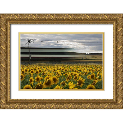 78 Sunflowers Gold Ornate Wood Framed Art Print with Double Matting by Balenzategui, Kike